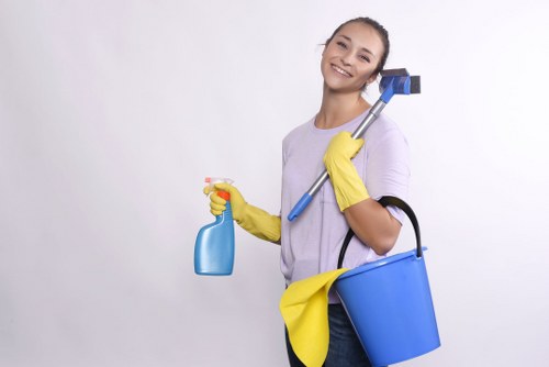 Weekly cleaning tasks in a SW8 kitchen and living area