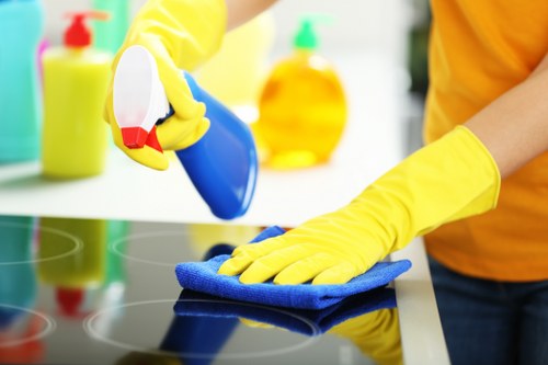 Illustration of screen-reader compatible cleaning service page