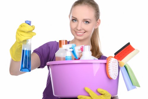 Professional cleaners sanitising office kitchens and shared break areas in SW8