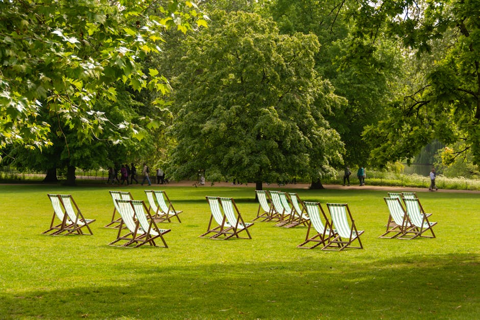 An outdoor park scene featuring a neatly arranged row of wooden deck chairs with fabric slings on a well-maintained grassy area. Tall, leafy green trees with dense foliage provide shade and a natural backdrop, with some sunlight filtering through the leaves. In the distance, a few people walk along a paved pathway. The overall setting appears calm and clean, reflecting a peaceful environment suitable for relaxation, and aligns with surface cleaning and maintenance practices by Cleaners SW8 in the context of domestic and commercial cleaning for venues like Battersea Park after events.